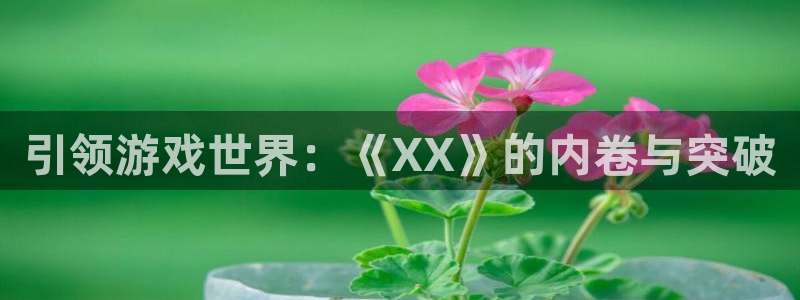 im电竞官网骗局是真的吗：引领游戏世界：《XX》的内卷与突破