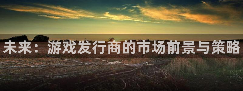 im电竞官网登录注册失败：未来：游戏发行商的市场前景与策略