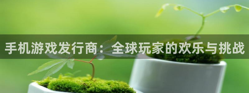 im电竞电子商务有限公司招聘：手机游戏发行商：全球玩家的欢乐与挑战