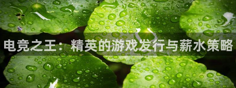 im电竞官网客服电话号码：电竞之王：精英的游戏发行与薪水策略