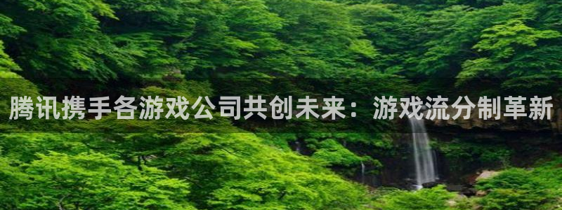 im电竞官网客服怎么样：腾讯携手各游戏公司共创未来：游戏流分制革新