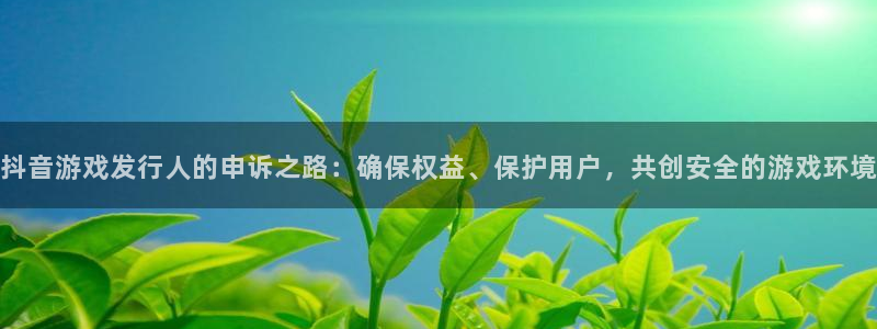 深圳im电竞电商：抖音游戏发行人的申诉之路：确保权益、保护用户，共创安全的游戏环境