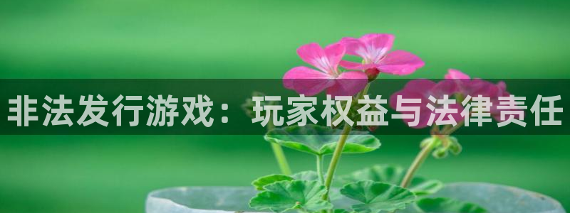 im电竞工坊：非法发行游戏：玩家权益与法律责任
