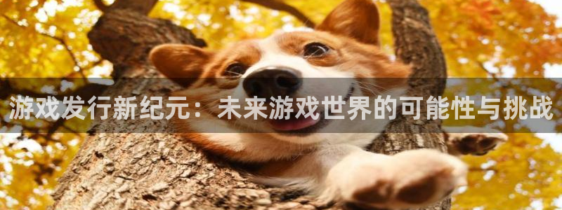 im电竞官网平台代理条件怎么样：游戏发行新纪元：未来游戏世界的可能性与挑战