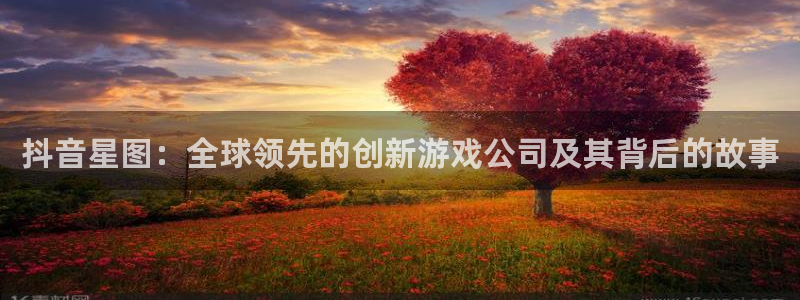 im电竞电子商务有限公司招聘：抖音星图：全球领先的创新游戏公司及其背后的故事