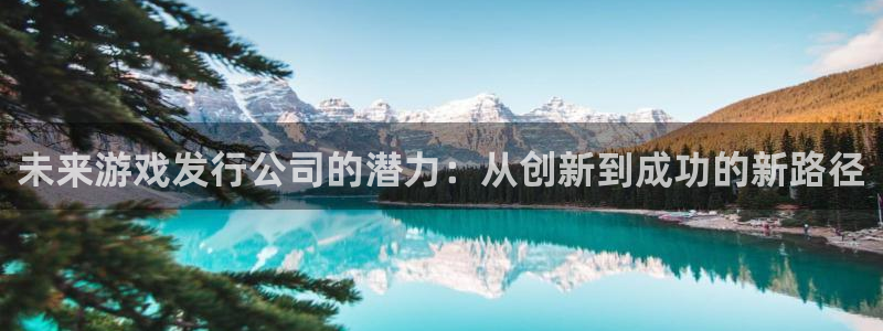 im电竞官网注册方法视频教程：未来游戏发行公司的潜力：从创新到成功的新路径