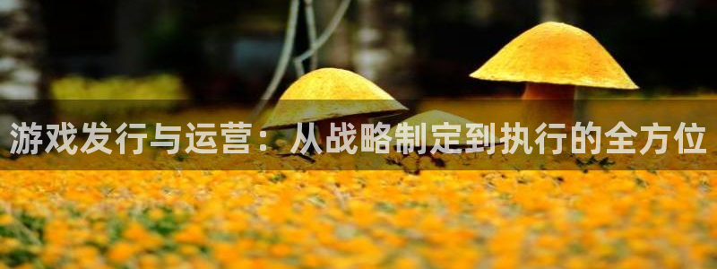 im电竞官网登录注册账号密码：游戏发行与运营：从战略制定到执行的全方位