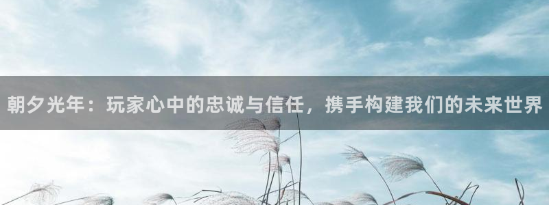 im电竞品牌：朝夕光年：玩家心中的忠诚与信任，携手构建我们的未来世界