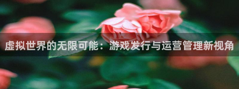 广东im电竞：虚拟世界的无限可能：游戏发行与运营管理新视角