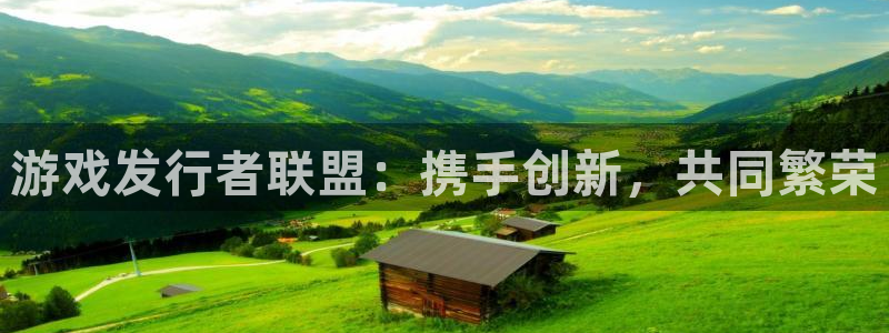 im电竞子出版社：游戏发行者联盟：携手创新，共同繁荣