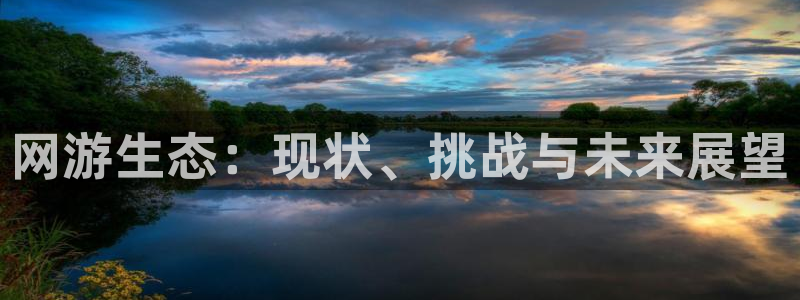 im电竞科技有限公司：网游生态：现状、挑战与未来展望