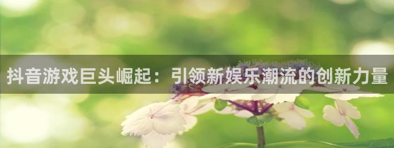im电竞官网注册方法是什么样的：抖音游戏巨头崛起：引领新娱乐潮流的创新力量