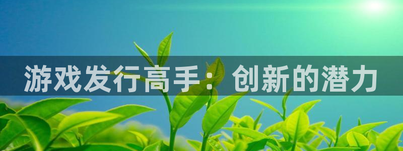 im电竞主管：游戏发行高手：创新的潜力