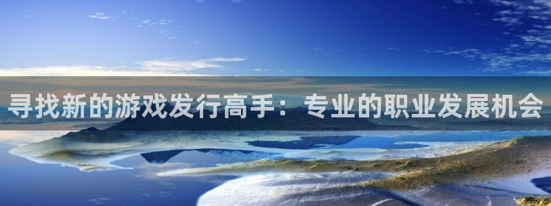 im电竞啤酒怎么样：寻找新的游戏发行高手：专业的职业发展机会