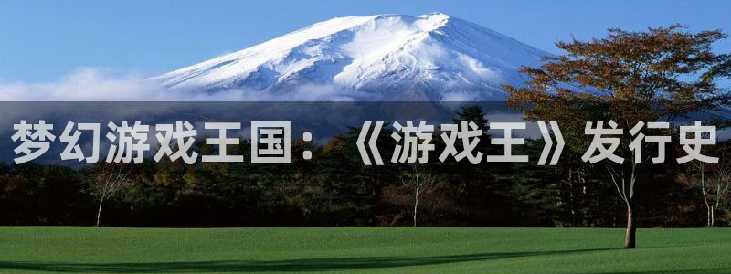 im电竞官网登录注册失败怎么办：梦幻游戏王国：《游戏王》发行史
